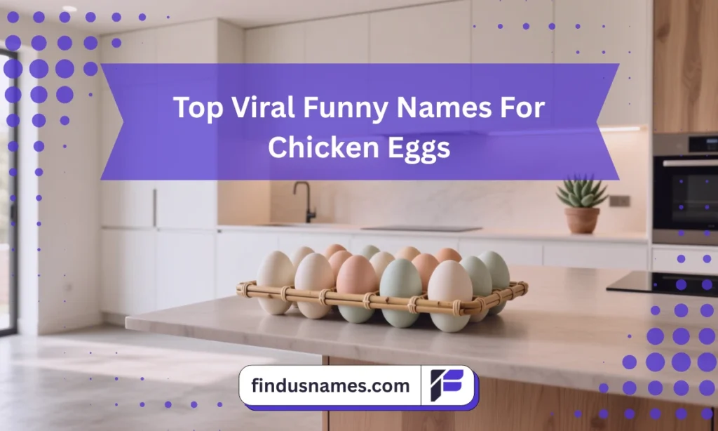 A modern kitchen scene with a stylish egg tray, reflecting viral and trendy inspiration for funny egg names.