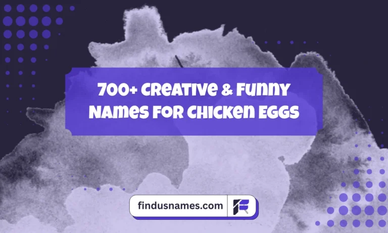 Funny Names For Chicken Eggs