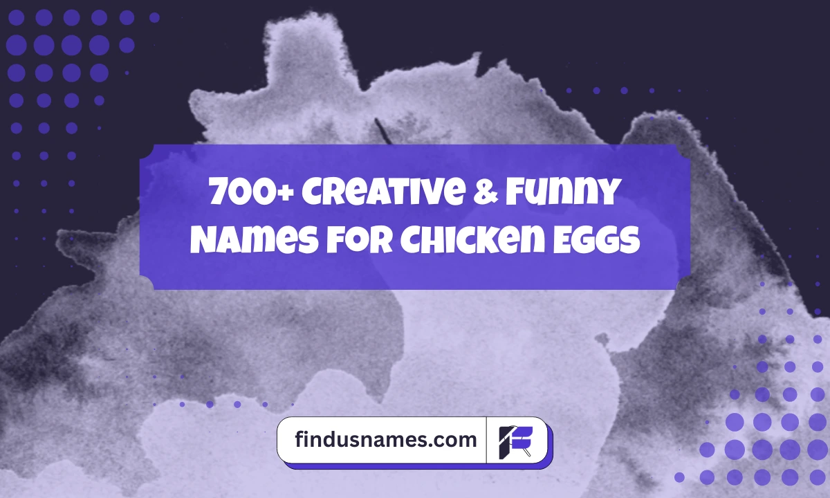 Funny Names For Chicken Eggs