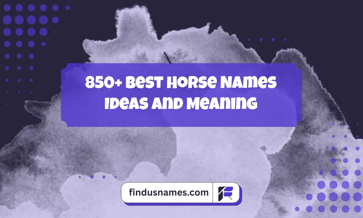 Horse Names