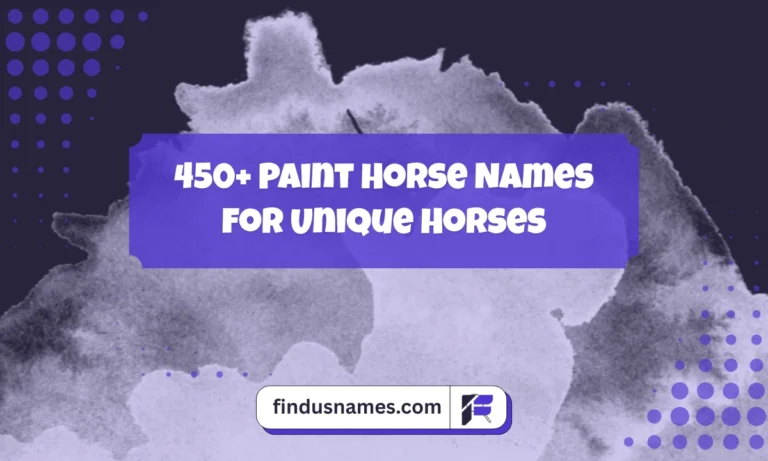 Paint Horse Names