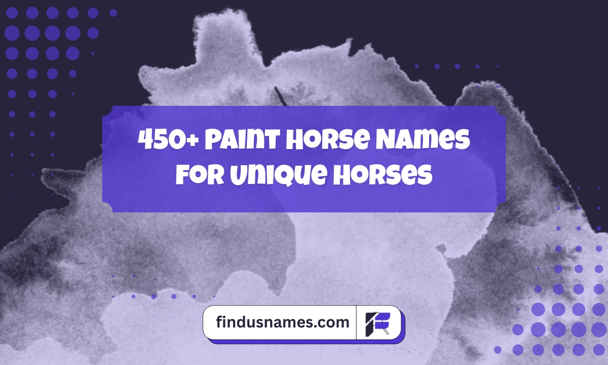 Paint Horse Names