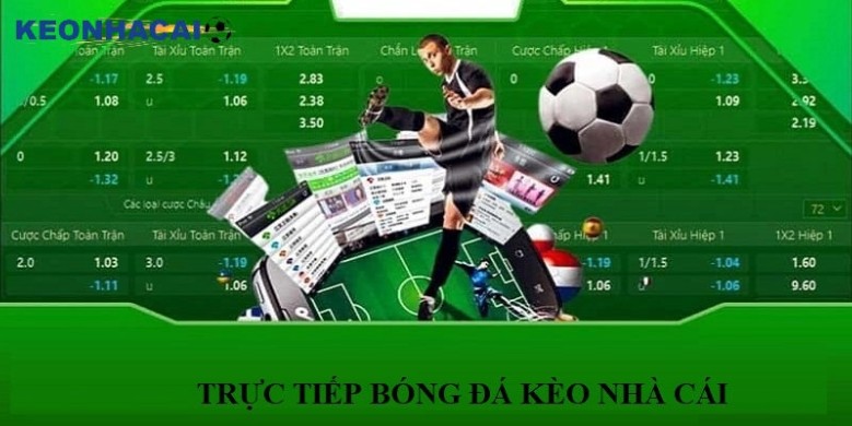 Kèo Nhà Cái: Everything You Need to Know Before Placing a Bet